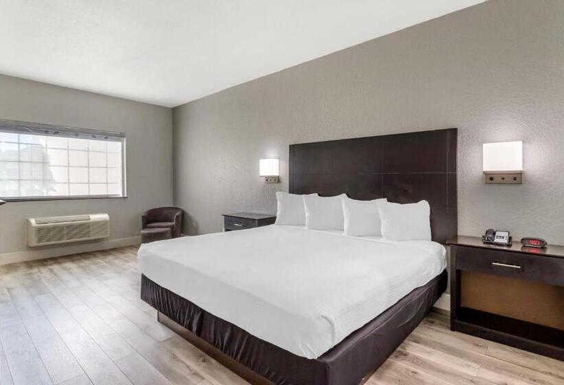 스탠다드 룸 킹사이즈 침대, Best Western Texas City I 45
