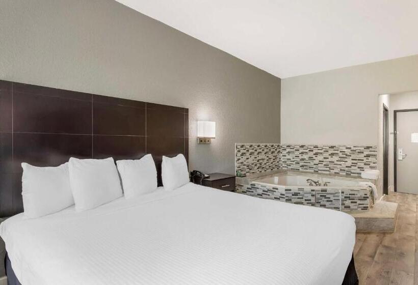 스탠다드 룸 킹사이즈 침대, Best Western Texas City I 45