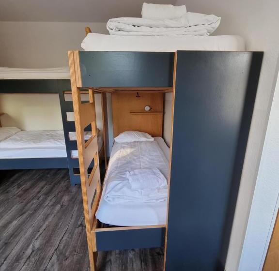 Номер Стандарт Совместная Ванная, Hostel By Hyve Basel