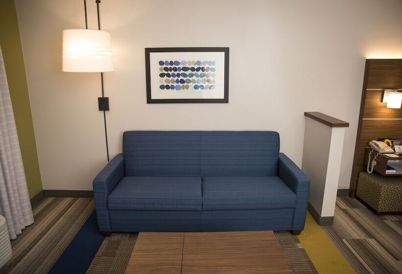 套房, Holiday Inn Express Hotel & Suites Lexington Downtown University, An Ihg