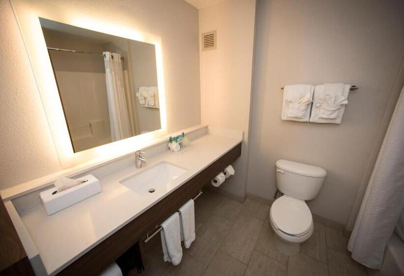 带大床的套房, Holiday Inn Express Hotel & Suites Lexington Downtown University, An Ihg
