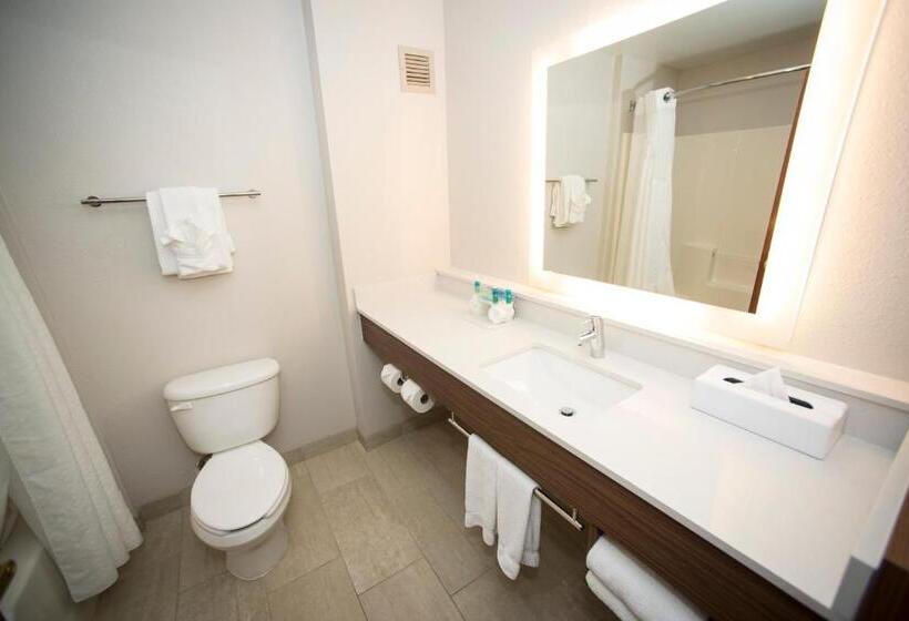 带大床的套房, Holiday Inn Express Hotel & Suites Lexington Downtown University, An Ihg