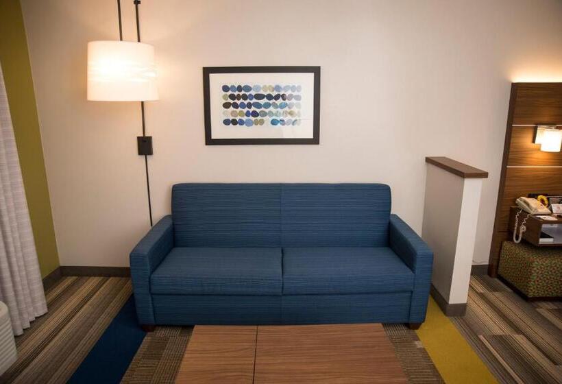 带双人大床的行政管理套房, Holiday Inn Express Hotel & Suites Lexington Downtown University, An Ihg