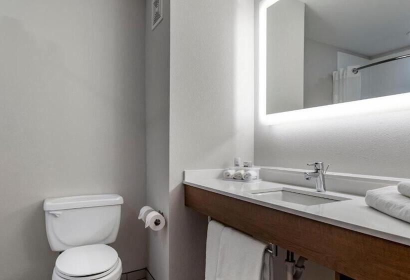 스탠다드 룸, Holiday Inn Express Hotel And Suites Natchitoches, An Ihg