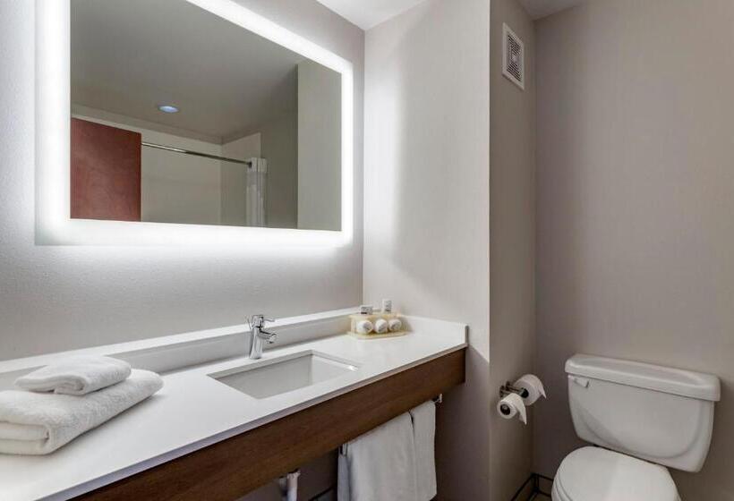 带大床的标准间, Holiday Inn Express Hotel And Suites Natchitoches, An Ihg