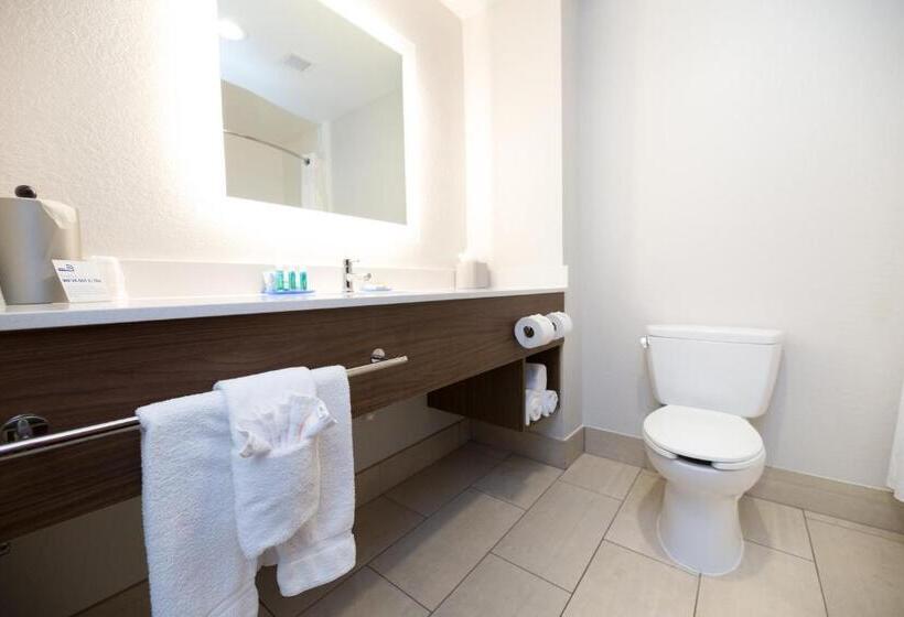 Люкс Кровать Кинг, Holiday Inn Express Hotel & Suites Clinton, An Ihg