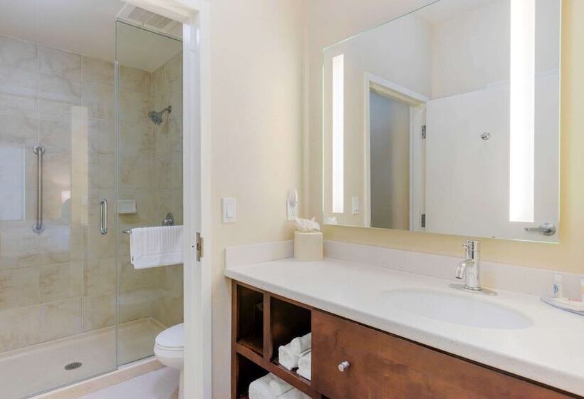 스위트, Comfort Inn & Suites Near Ontario Airport