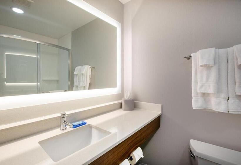 스위트 킹사이즈 침대, Holiday Inn Express Hotel & Suites Columbus, An Ihg
