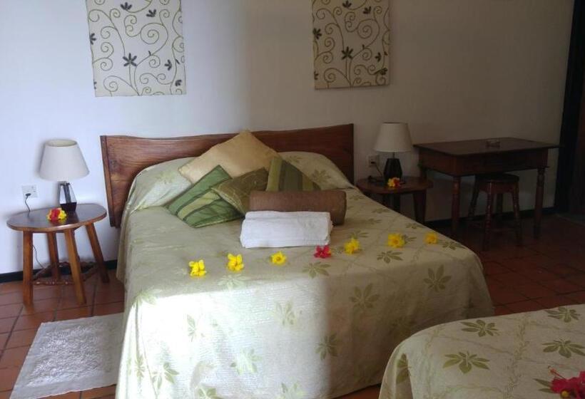 استودیوی استاندارد با چشم‌انداز دریا, Mango Lodge