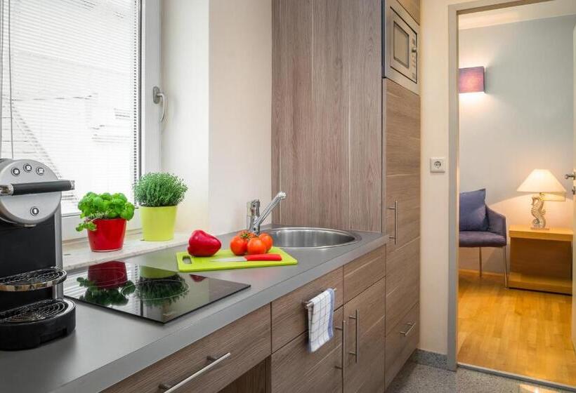 家庭工作室, Appartement Hotel An Der Riemergasse