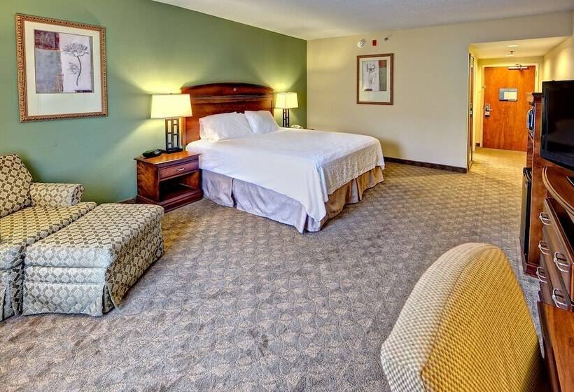 Номер Стандарт Вид на Горы, Hampton Inn & Suites Cashierssapphire Valley