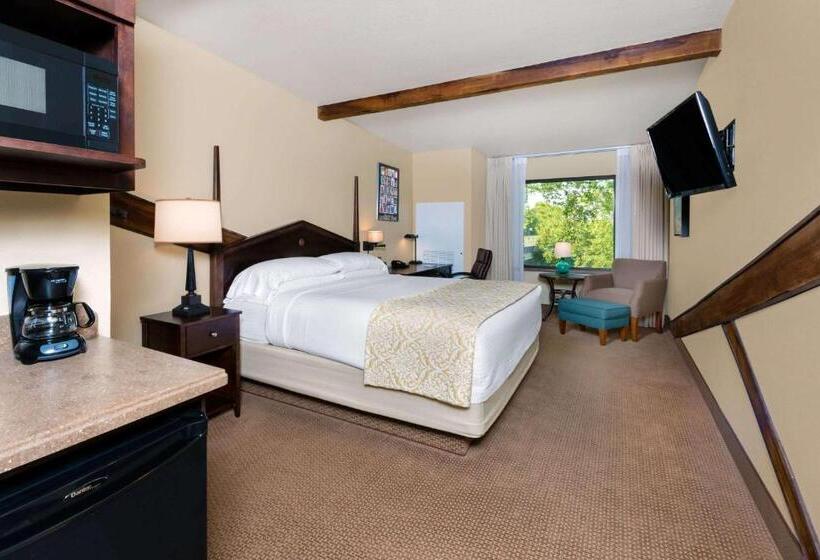 디럭스 룸 킹사이즈 침대, Hawthorn Extended Stay By Wyndham Rome