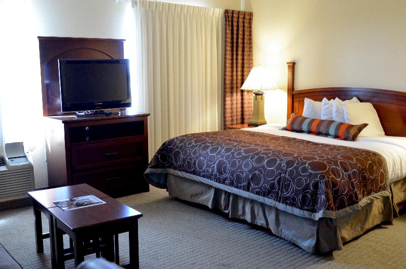 标准工作室, Staybridge Suites San Antonio Sea World, An Ihg