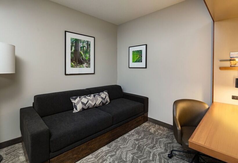 Студия Стандарт, Springhill Suites Vero Beach