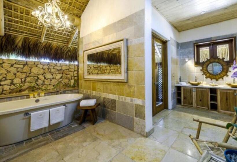 בקתה סטנדרטית, Eden Roc Cap Cana