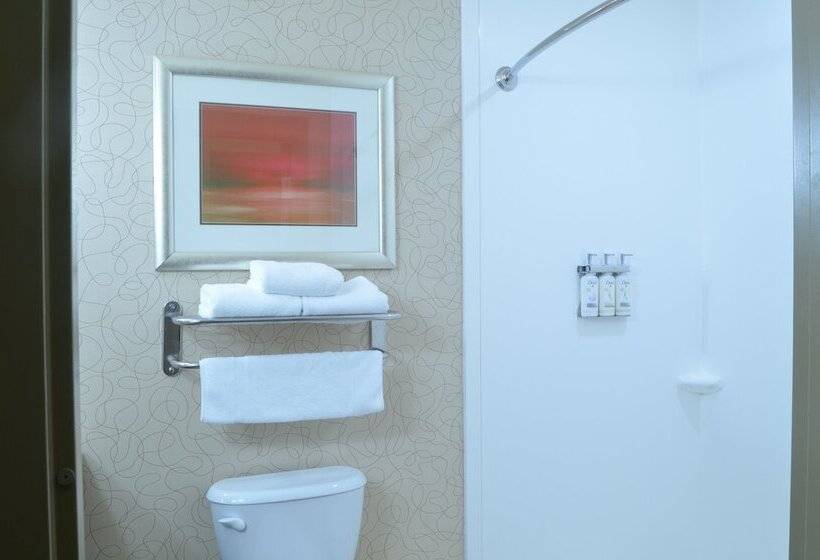 Номер Стандарт, Holiday Inn Birmingham   Hoover, An Ihg