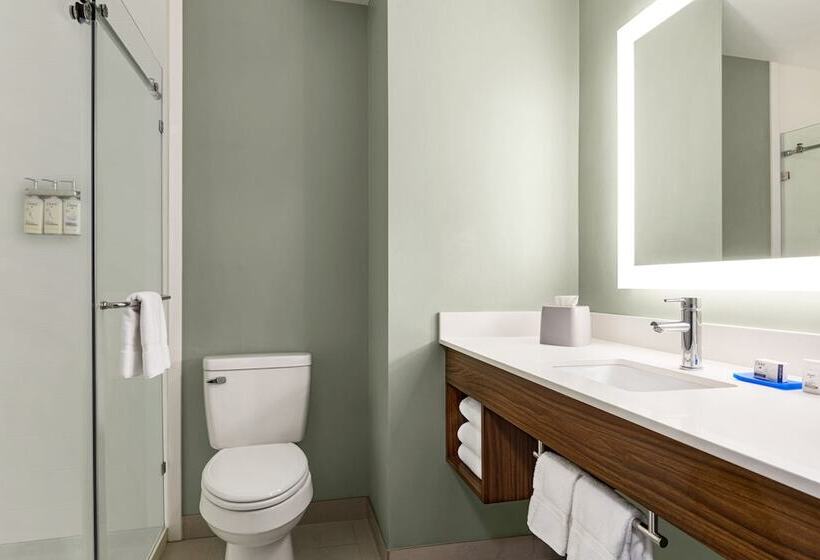 Люкс, Holiday Inn Express Hotel & Suites Waycross By Ihg