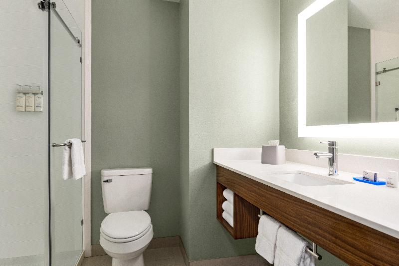 Люкс Кровать Кинг, Holiday Inn Express Hotel & Suites Waycross By Ihg