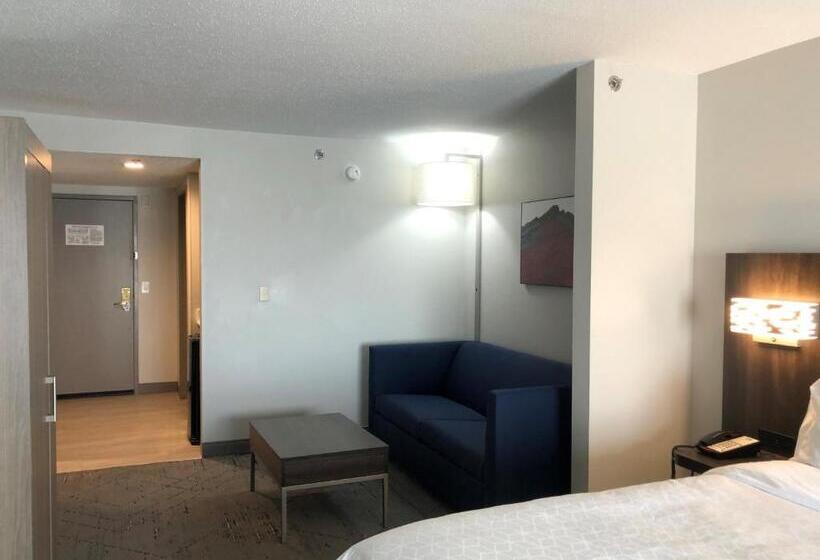 带大床的套房, Holiday Inn Express & Suites Donegal, An Ihg