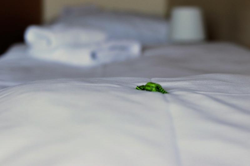 Люкс, Holiday Inn Express Hotel & Suites Kerrville By Ihg