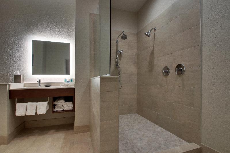Стандартный Номер Кровать Кинг, Holiday Inn Express Hotel & Suites Vernon College Area By Ihg