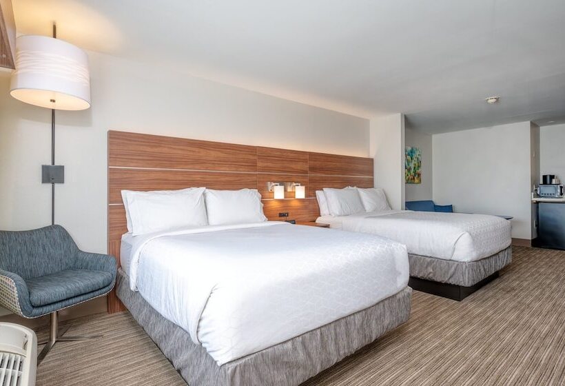 Люкс, Holiday Inn Express Hotel & Suites Thornburg S. Fredericksburg, An Ihg
