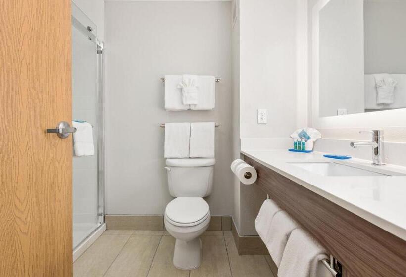 이그제큐티브 룸 킹사이즈 침대, Holiday Inn Express West Valley City, An Ihg