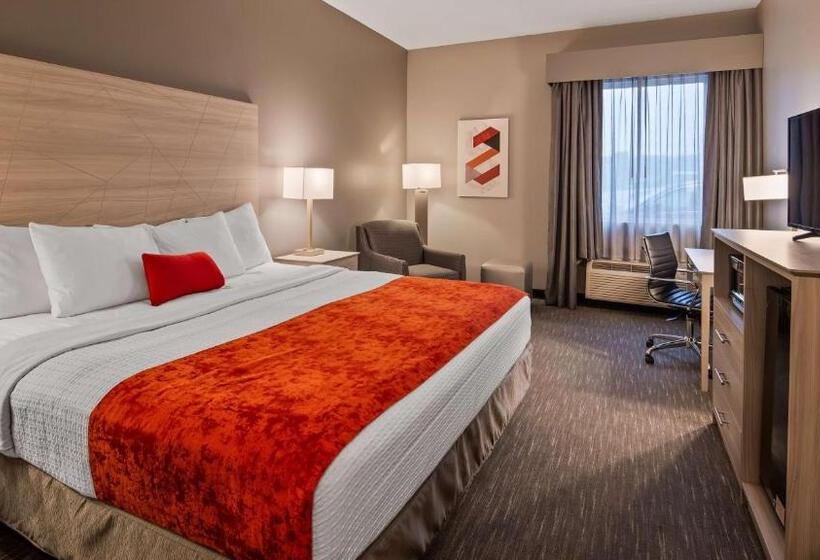 מיטת קינג בסוויטה, Best Western Plus New Cumberland