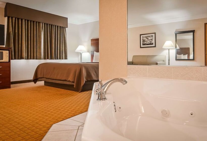 Люкс Адаптированный для Инвалидов, Best Western Wittenberg Inn