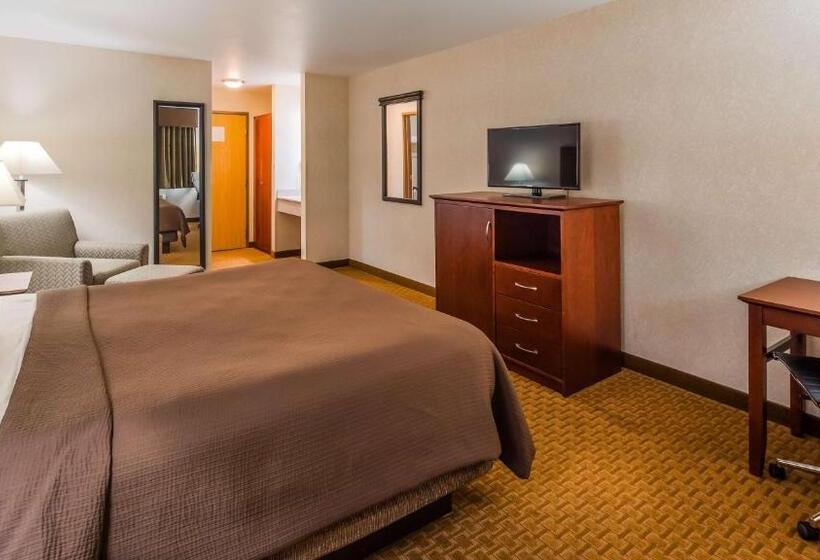 Номер Стандарт Кровать Кинг Адаптированный для Инвалидов, Best Western Wittenberg Inn