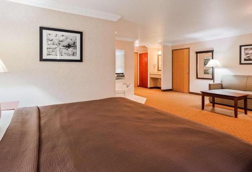 Люкс Адаптированный для Инвалидов, Best Western Wittenberg Inn
