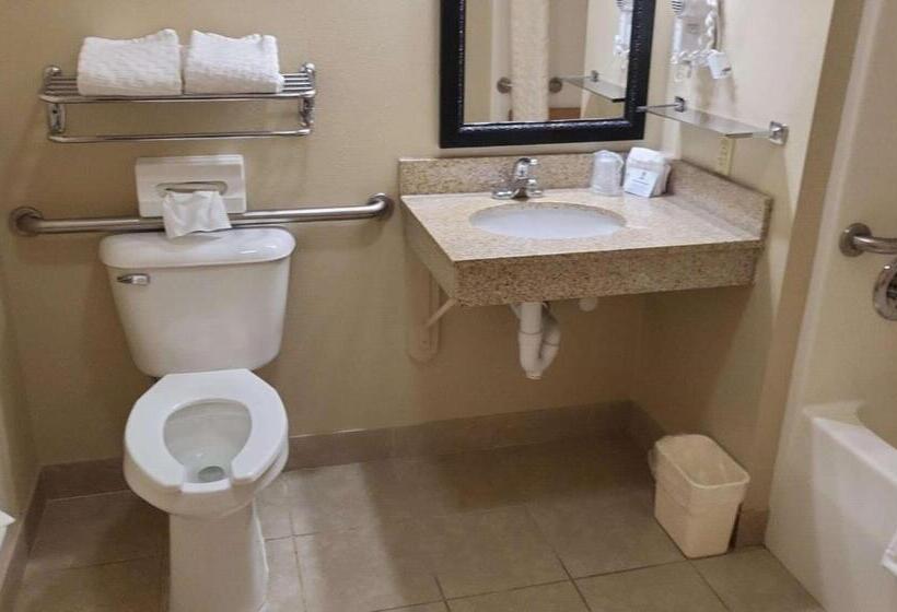 Номер Стандарт Адаптированный для Инвалидов, Best Western Wittenberg Inn