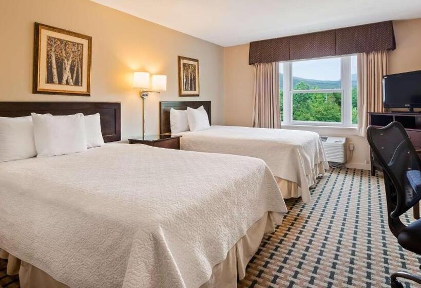 Номер Стандарт 2 Двуспальные Кровати, Silver Fox Inn