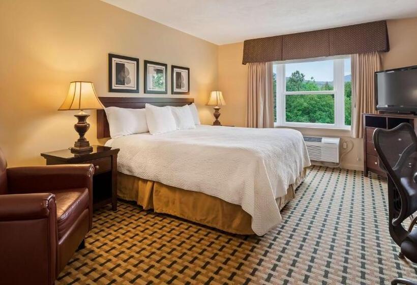 Стандартный Номер Кровать Кинг, Silver Fox Inn