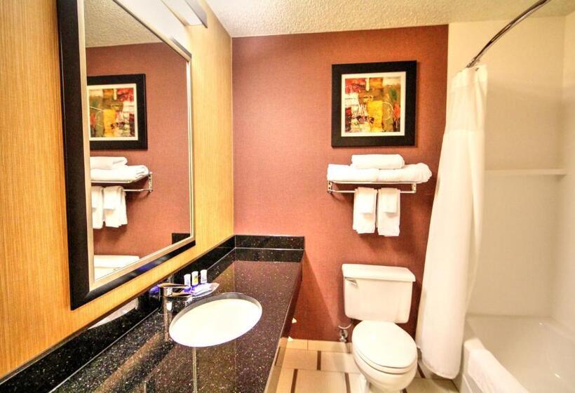 اتاق استاندارد با تخت بزرگ, Fairfield Inn Boise Airport