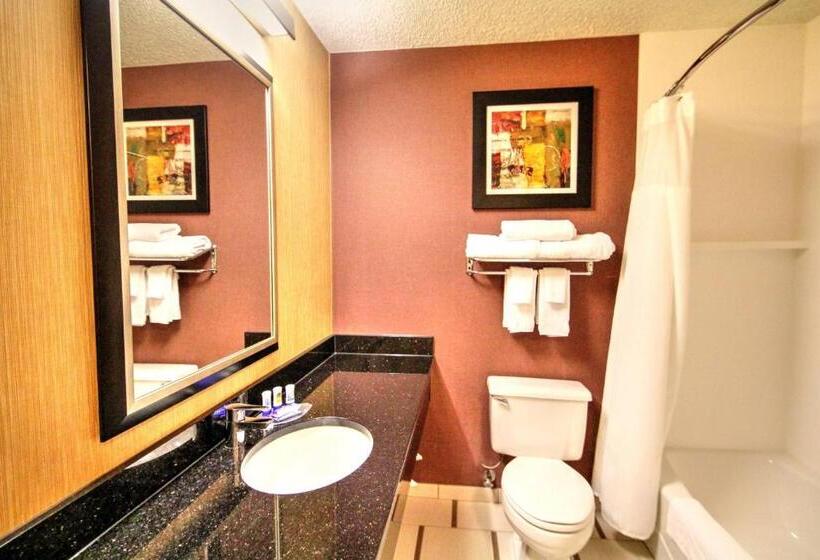 اتاق استاندارد با تخت بزرگ برای معلولان, Fairfield Inn Boise Airport