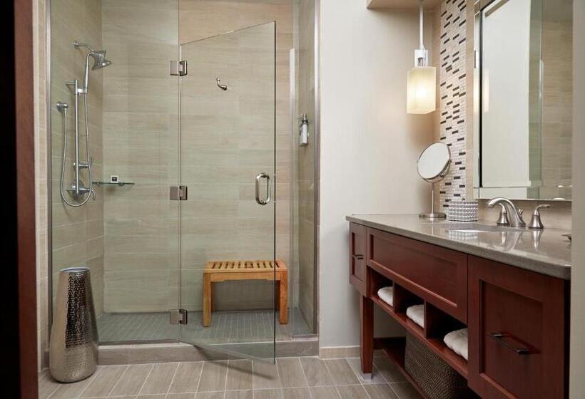 스탠다드 룸 킹사이즈 침대, Rizzo Center, A Destination By Hyatt