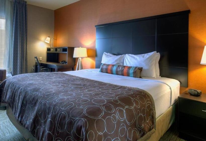 سوئیت با تخت بزرگ, Staybridge Suites Hamilton   Downtown, An Ihg