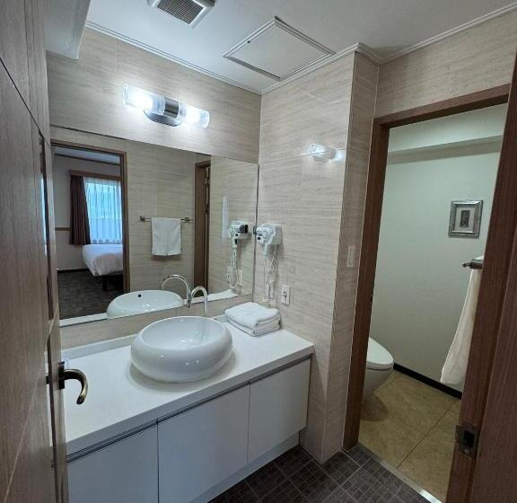 Люкс, Toyoko Inn Daejeon Government Complex