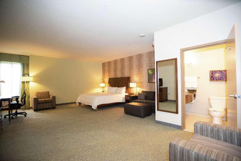 带大床的标准间, Hilton Garden Inn Covington