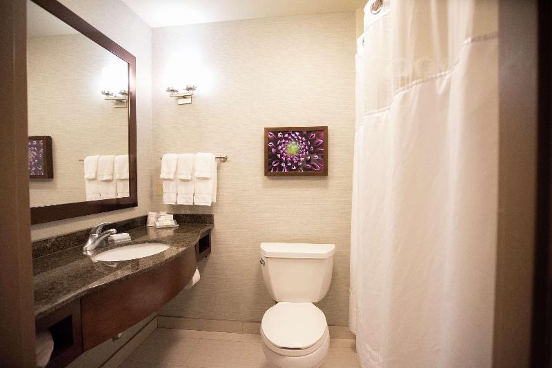 带大床的标准间, Hilton Garden Inn Covington