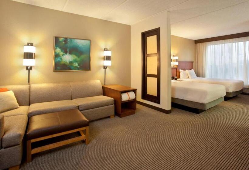 Номер Стандарт 2 Двуспальные Кровати, Hyatt Place Atlanta Airport North