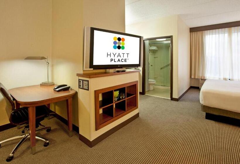 스탠다드 룸 킹사이즈 침대, Hyatt Place Atlanta Airport North
