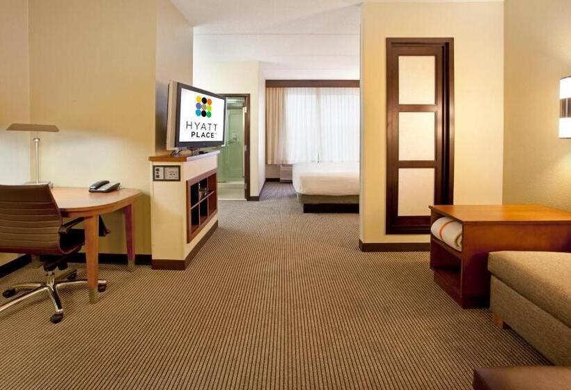 장애인을 위한 킹사이즈 침대 스탠다드 룸, Hyatt Place Atlanta Airport North