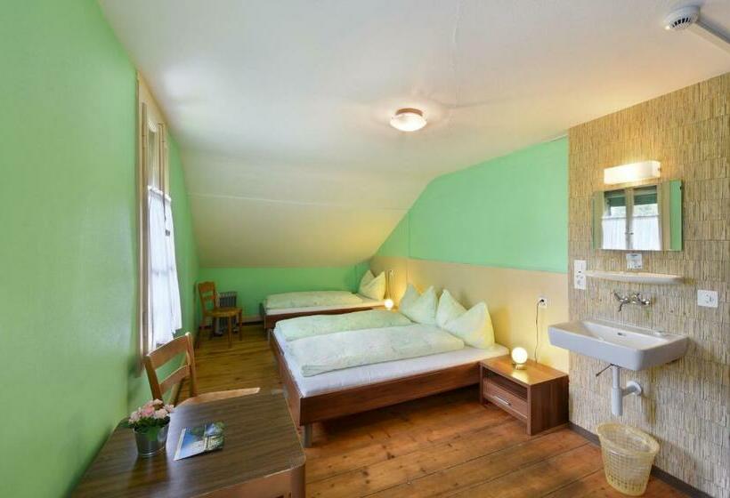 اتاق استاندارد سه تخته با سرویس بهداشتی مشترک, Budget Waldhotel Unspunnen