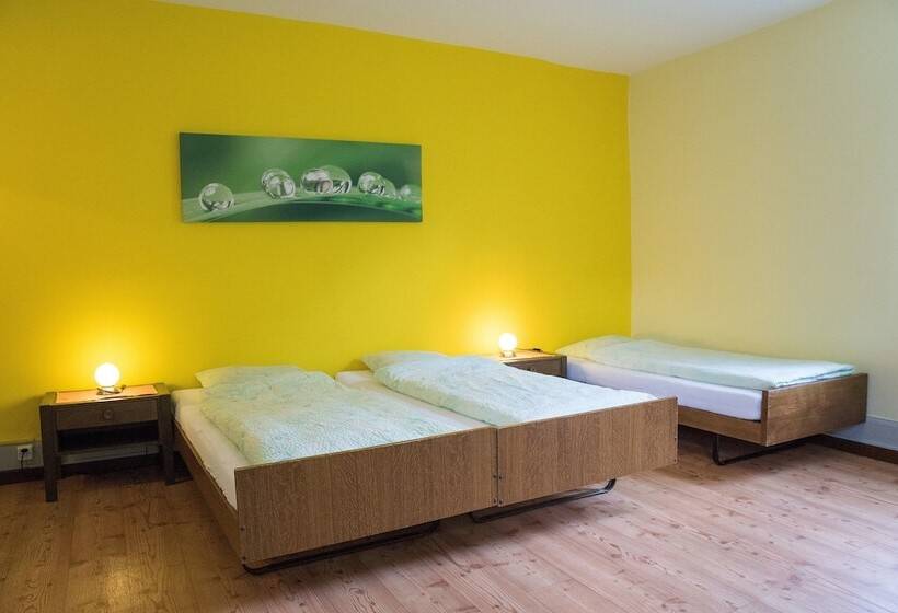 اتاق استاندارد چهارنفره با سرویس بهداشتی مشترک, Budget Waldhotel Unspunnen