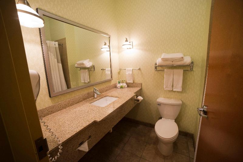 Стандартный Номер Кровать Кинг, Holiday Inn Express Hotel & Suites Atlanta East   Lithonia, An Ihg