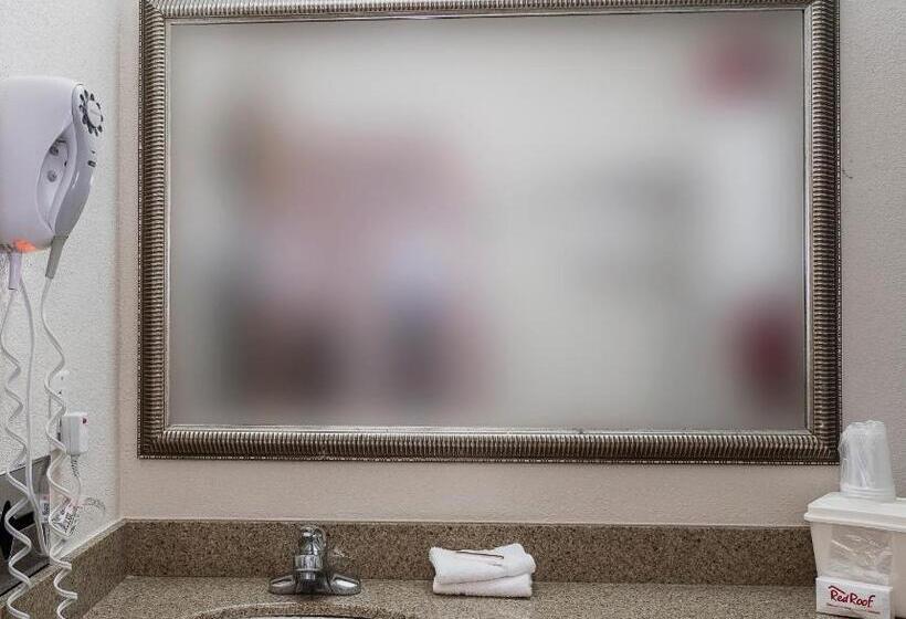 디럭스 룸 킹사이즈 침대, Red Roof Inn & Suites Mt Holly  Mcguire Afb