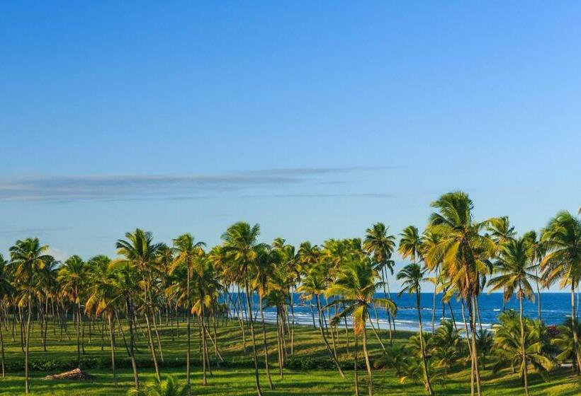חדר סטנדרט לארבעה, Viva Porto De Galinhas Resort