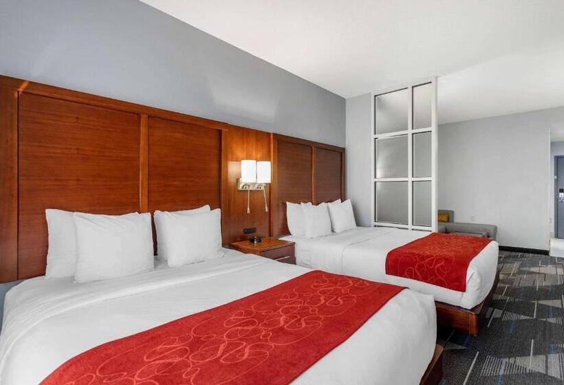 스탠다드 룸, Comfort Suites Olive Branch   Memphis South